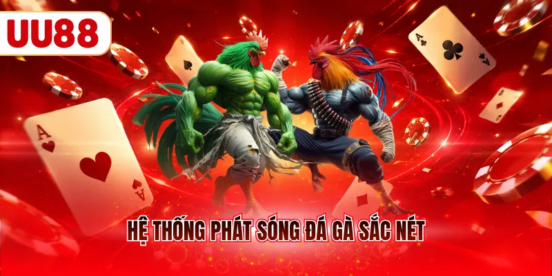 Hệ thống phát sóng đá gà sắc nét